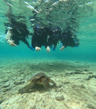 宮古島 ADVENTURE PiPi（ミヤコジマ アドベンチャー ピピ）に投稿された画像（2024/2/6）