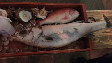 西武園ゆうえんちに投稿された画像（2024/2/6）