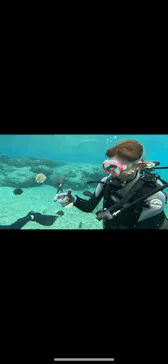 武藤潜水に投稿された画像（2024/2/6）