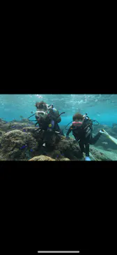 武藤潜水に投稿された画像（2024/2/6）