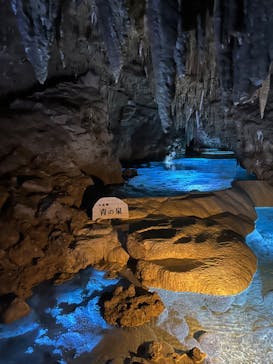 おきなわワールドに投稿された画像（2024/2/6）