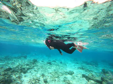 武藤潜水に投稿された画像（2024/2/6）