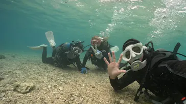 武藤潜水に投稿された画像（2024/2/6）