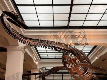 国立科学博物館に投稿された画像（2024/2/6）