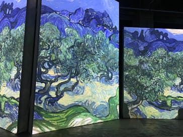 ゴッホ・アライブに投稿された画像（2024/2/6）