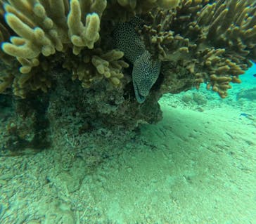 石垣島 ADVENTURE PiPi（イシガキジマアドベンチャーピピ）に投稿された画像（2024/2/6）