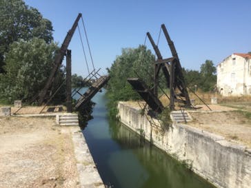 ゴッホ・アライブに投稿された画像（2024/2/6）