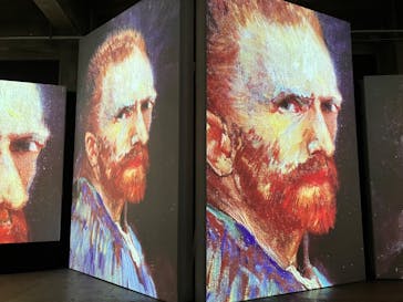 ゴッホ・アライブに投稿された画像（2024/2/6）