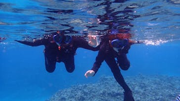 石垣島 ADVENTURE PiPi（イシガキジマアドベンチャーピピ）に投稿された画像（2024/2/6）