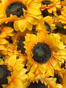 ゴッホ・アライブに投稿された画像（2024/2/6）