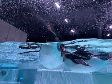 AOAO SAPPOROに投稿された画像（2024/2/6）