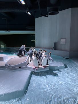 AOAO SAPPOROに投稿された画像（2024/2/6）