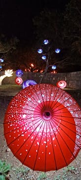 体験王国 むら咲むらに投稿された画像（2024/2/6）