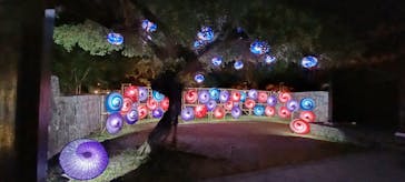 体験王国 むら咲むらに投稿された画像（2024/2/6）