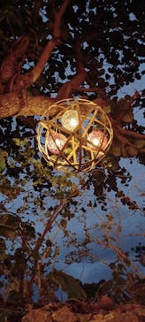 体験王国 むら咲むらに投稿された画像（2024/2/6）