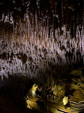 おきなわワールドに投稿された画像（2024/2/6）