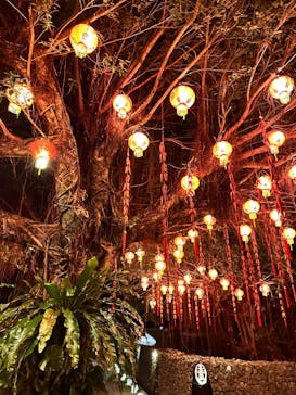 体験王国 むら咲むらに投稿された画像（2024/2/6）