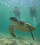 宮古島マリン SUGAR3（シュガースリー）に投稿された画像（2024/2/7）