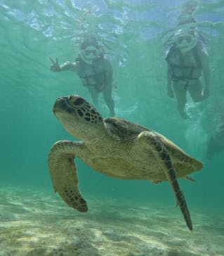 宮古島マリン SUGAR3（シュガースリー）に投稿された画像（2024/2/6）