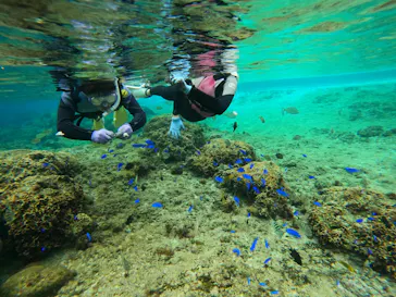 武藤潜水に投稿された画像（2024/2/7）