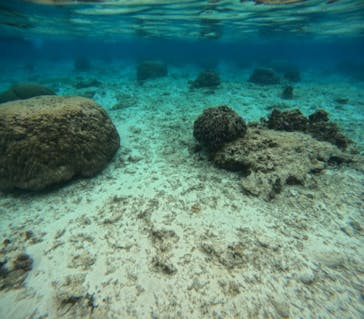 沖縄マリンサービス碧に投稿された画像（2024/2/7）