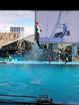 名古屋港水族館に投稿された画像（2024/2/7）