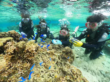 武藤潜水に投稿された画像（2024/2/7）