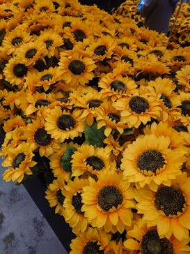 ゴッホ・アライブに投稿された画像（2024/2/7）