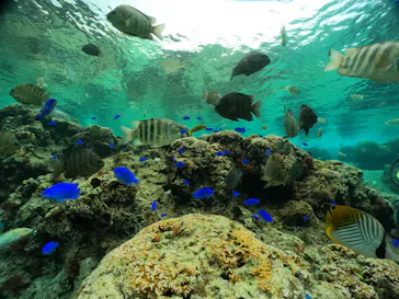 武藤潜水に投稿された画像（2024/2/7）