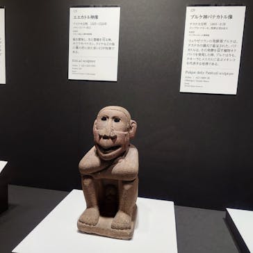 特別展「古代メキシコ ーマヤ、アステカ、テオティワカン」に投稿された画像（2024/2/7）