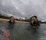 武藤潜水に投稿された画像（2024/2/7）