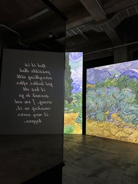 ゴッホ・アライブに投稿された画像（2024/2/7）