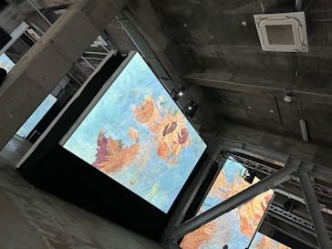 ゴッホ・アライブに投稿された画像（2024/2/7）