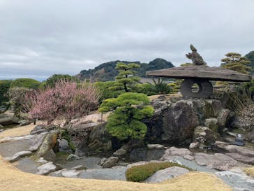 仙巌園に投稿された画像（2024/2/7）