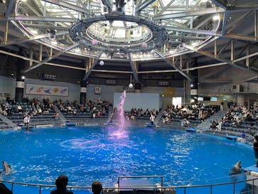 マクセル アクアパーク品川に投稿された画像（2024/2/7）