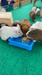 天王寺動物園に投稿された画像（2024/2/7）