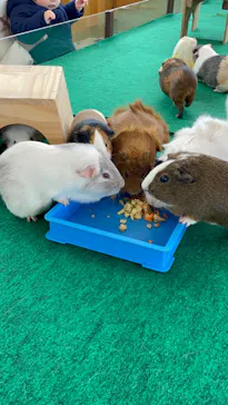 天王寺動物園に投稿された画像（2024/2/7）