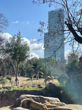 天王寺動物園に投稿された画像（2024/2/7）