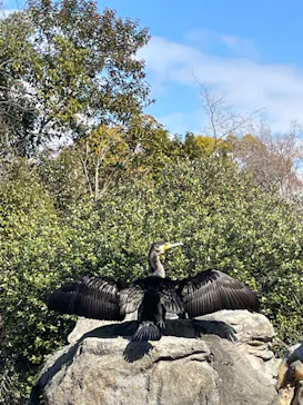 天王寺動物園に投稿された画像（2024/2/7）