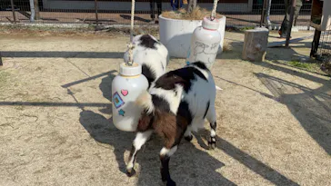 天王寺動物園に投稿された画像（2024/2/7）