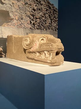 特別展「古代メキシコ ーマヤ、アステカ、テオティワカン」に投稿された画像（2024/2/7）