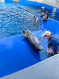 大分マリーンパレス水族館 「うみたまご」に投稿された画像（2024/2/7）