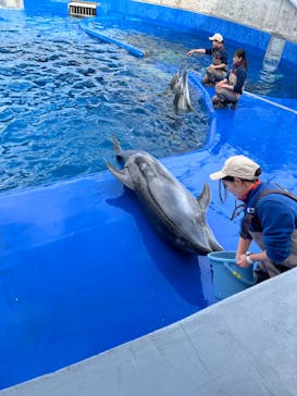 大分マリーンパレス水族館 「うみたまご」に投稿された画像（2024/2/7）