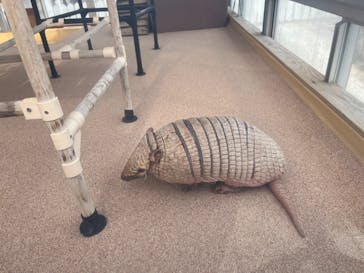 大分マリーンパレス水族館 「うみたまご」に投稿された画像（2024/2/7）
