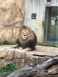 千葉市動物公園に投稿された画像（2024/2/7）