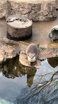 千葉市動物公園に投稿された画像（2024/2/7）