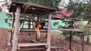 千葉市動物公園に投稿された画像（2024/2/7）