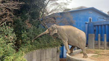 千葉市動物公園に投稿された画像（2024/2/7）