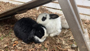 千葉市動物公園に投稿された画像（2024/2/7）