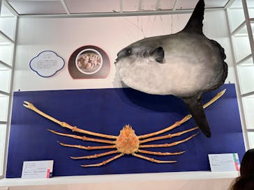 特別展「和食 ～日本の自然、人々の知恵～」に投稿された画像（2024/2/7）